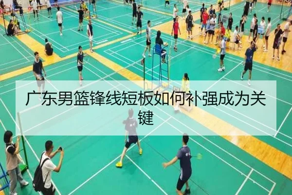 广东男篮锋线短板如何补强成为关键